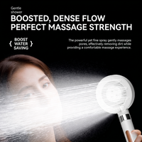 Pommeau de douche haute pression OEM personnalisé avec filtre à vitamine C et contrôle du débit d'eau pour accessoire de robinet de salle de bain