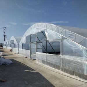 Système de gouttières NFT pour la culture de fraises commerciales, nouveau design, <span class=keywords><strong>film</strong></span> PE, couverture simple en PVC, hydroponie - Product Image 3