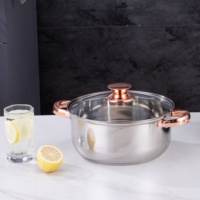 Ensemble de casseroles et poêles en acier inoxydable écoresponsable minimaliste 5 pièces avec couvercles en verre trempé, compatible gaz et induction