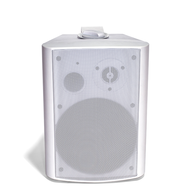 Wireless Wall Mounted Speaker WiFi 2.4G&5G BT5.4 USB AUX Multi-room Playback HiFi Audio System Remote Control 100W X2