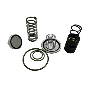 Kit de réparation pour compresseur d'air à vis Manny 2901 2006 53 avec joints - Product Image 3