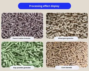 Máquina Automática de Fabricação de Ração para Aves de 1 Tonelada para Fábrica de Taiwan 220V/380V 1 Ano de Garantia - Product Image 5