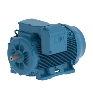 Baru dan asli W21 4P 2HP 220V 380V 60HZ tiga garis saham Motor cuci gudang dari Wegs - Product Image 4