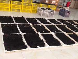 Bó Tóc Thẳng Người Peru Uniky Với Miếng Trải Chân Tóc Remy Bó Tóc Dệt Với Miếng Trải Chân Màu Sắc Tự Nhiên - Product Image 4