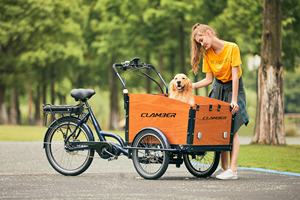 Vélo cargo électrique à 3 roues, moteur Bafang 500W avec assistance électrique 250W, amortissement hydraulique, cadre en aluminium, dérailleur <span class=keywords><strong>Shimano</strong></span> - Product Image 6