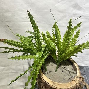 EG-J237 Décoration de porte <span class=keywords><strong>en</strong></span> <span class=keywords><strong>pot</strong></span> Bouquet de plantes artificielles Faux fleur Plante verte Fougère - Product Image 4