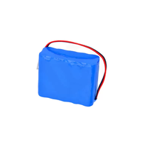 Batterie puissante NI-MH 12V 3800mAh | Idéal pour les onduleurs solaires, les systèmes UPS et les applications d'alimentation CC