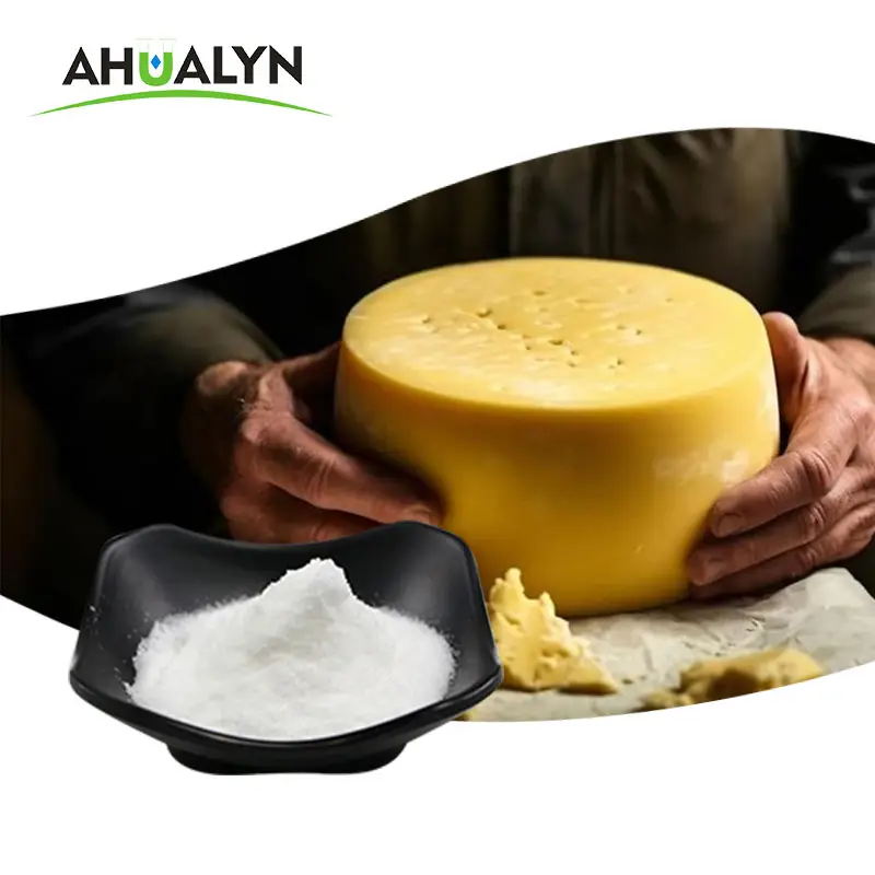 2024 Natamycin CAS 7681-93-8/natamycin Lactose preparation 50% for dairy products cheese milk