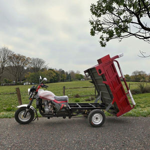 Tricycle de livraison à moteur <span class=keywords><strong>essence</strong></span>, <span class=keywords><strong>prix</strong></span> fabricant, tricycle de livraison à 3 roues à bas <span class=keywords><strong>prix</strong></span> - Product Image 5