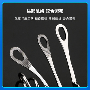 Pince chirurgicale en acier inoxydable à dents pour éponges, 18 cm, pour maintenir les tissus, usage médical - Product Image 2