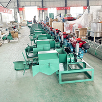 Kleinschalige Palmolie Maken Machine Fruit Olie Verwerking Pers Extractie Molen Raffinaderij Btma Productielijn Om Bakolie Te Maken