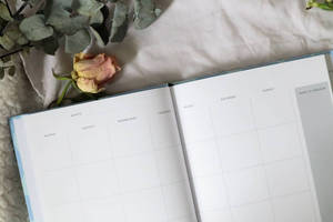 Labon màu xanh trừu tượng thiết kế bán buôn chương trình nghị sự tái chế giấy tùy chỉnh hàng tuần undated mục tiêu kế hoạch bìa cứng máy tính xách tay - Product Image 4