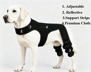 Rodillera Rectangular Ajustable para Perros, Soporte para Lesiones de LCA en Patas Traseras con Tira Reflectante para Uso en Exteriores - Product Image 2