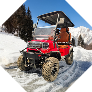 Precio de fábrica 72V Plomo-ácido y litio Street Legal 6 Seat Carros de golf de caza eléctricos - Product Image 4