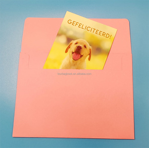 China <strong>Professional</strong> <strong>Envelope</strong> <strong>Factory</strong> Business Cards and <strong>Envelope</strong> Packaging for Clothes Hotel Keycard <strong>Envelope</strong> - Product Image 6