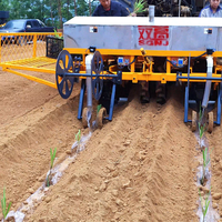 Transplanteur de semis multifonctionnel haute performance à 2 rangs pour légumes avec travail du sol rotatif pour semis en plug
