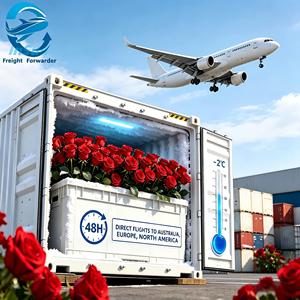 Transporte Aéreo de Flores Frescas en Cadena de Frío, de Kunming, China a AKL, <span class=keywords><strong>Nueva</strong></span> <span class=keywords><strong>Zelanda</strong></span>, Llegada Rápida en 48H, Servicio Profesional al <span class=keywords><strong>Aeropuerto</strong></span> - Product Image 3