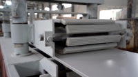 Pequeño tornillo cónico doble extrusora de plástico PVC Panel de techo
