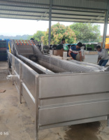 Productielijn voor het weken, wassen, sorteren en luchtdrogen van lotuswortel, gember en taro voor de voorbewerking van diepvriesfruit en -groenten in een fabriek.