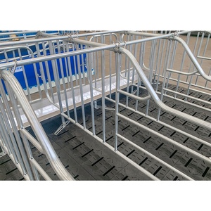 Cages de maternité galvanisées pour truies, cages pour animaux de ferme très demandées pour porcs - Product Image 2