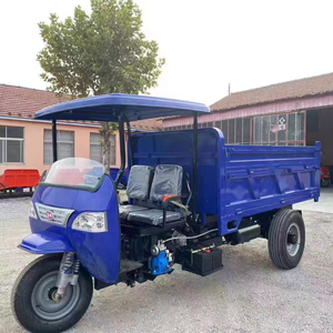 Tricycle diesel ou électrique de cargaison d'ingénierie pour le transport de matériaux de construction - Product Image 4