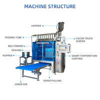Machine d'emballage de sachets 10 lignes, scellage 3 côtés, pour sauces, mayonnaise, vinaigrettes et liquides