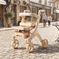 Déambulateur en fibre de carbone au design innovant avec détails or champagne, sac à motif dessert et conception légère pour seniors