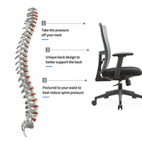 Chaise de bureau ergonomique en maille avec soutien lombaire réglable, chaise de bureau respirante OEM pour longues heures de travail