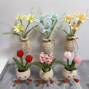 Venta al por mayor de fábrica: Juguetes de punto a mano, flores artificiales, tulipanes, plantas suculentas, decoraciones para el hogar, ganchillo personalizado. - Product Image 2