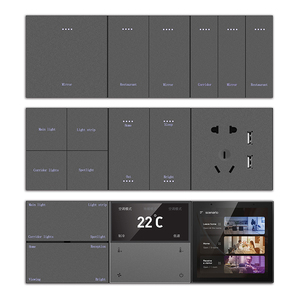TianLai M6-1K-ZT panneau PC 1 gang Mini Tuya Zigbee interrupteur d'éclairage mural intelligent - Product Image 1