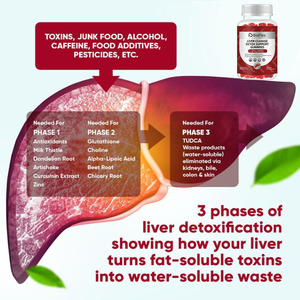 OEM ODM Black Elderberry Extract Milk Thistle Extract Gummies Herbal <b>Liver</b> Health <b>Supplement</b> for <b>Detox</b> Cleansing - Product Image 6