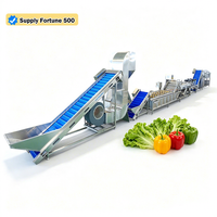 380V 3-fasen turnkey fruit- en bladgroenteverwerkingslijn mixer friteuse automatische wasinstallatie food grade roestvrij staal ozon