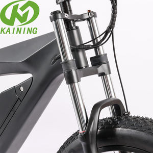 Motor eléctrico para esquí, bicicleta de nieve, tecnología sofisticada, precio barato - Product Image 3