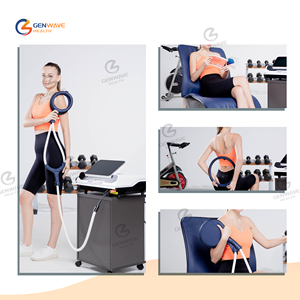 Pro Max per PMST LOOP Macchina per Terapia Magneto-Fisica Equina per il Corpo, Sollievo da Distorsioni alla Caviglia da Basket con Tappetino PEMF, Terapia PEMF - Product Image 6