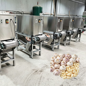 Machine automatique à peler l'ail, 2200W, 380V, équipement de traitement des légumes en acier inoxydable pour la production d'ail pelé - Product Image 6