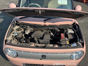 รถซูซูกิอัลโตมือสองผ้าไฮดรอลิกสีชมพูรถญี่ปุ่นมือสอง - Product Image 6