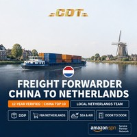 Agent d'expédition porte-à-porte DDP de Chine au Canada pour le fret maritime commercial FBA et la dédouanement