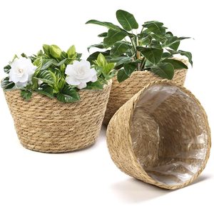 Ensemble Athaliah de 3 paniers élégants pour plantes d'intérieur en jacinthe d'eau naturelle tressée, pots décoratifs avec doublure en plastique pour table - Product Image 2