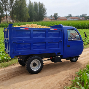 Kèm theo đầy đủ nông nghiệp ba bánh trang web dành riêng cho mô hình mới để bán ba bánh - Product Image 2