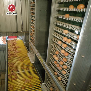 Jaula Automatizada para Gallinas Ponedoras de Alta Calidad para Granjas Avícolas - Product Image 3