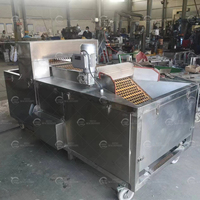 Industriële Kersen Steen Pitter Fruit Kernmachine Stoner Wilde Kersen Pitting Machine