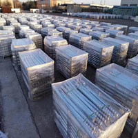 Pieu hélicoïdal (acier) pour systèmes de montage solaire, revêtement galvanisé à chaud, haute résistance à la traction, dimensions personnalisées