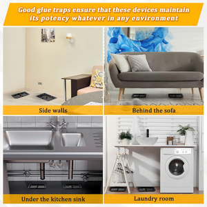 Trampa <span class=keywords><strong>de</strong></span> pegamento para ratones Dayoung, trampa <span class=keywords><strong>de</strong></span> pegamento para <span class=keywords><strong>ratas</strong></span>, adhesivo fuerte, no tóxico, impermeable, para uso en interiores, hogar, cocina, garaje. - Product Image 3