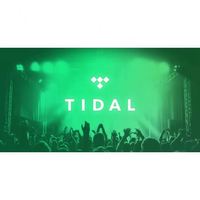 Abonnement Premium Tidal Music 12 mois, comptes Tidal, abonnement Tidal Hifi Plus 1 an Yue
