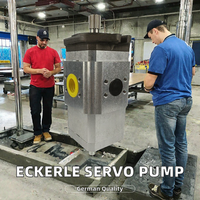 Pompa Servo Gear ECKERLE EIPC3-064RB23-10 S196 Pompa Hidrolik Mesin Cetak Injeksi