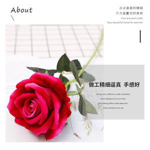 <span class=keywords><strong>Fleur</strong></span> <span class=keywords><strong>Artificielle</strong></span> Toucher Réel en Gros, <span class=keywords><strong>Rose</strong></span> en Soie de Velours pour Décoration de Maisons et Mariages - Product Image 5