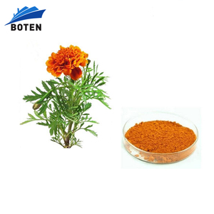 Bán buôn tự nhiên Cúc Vạn Thọ chiết xuất <span class=keywords><strong>Lutein</strong></span> Chất lượng cao <span class=keywords><strong>Lutein</strong></span> 10% bột - Product Image 1