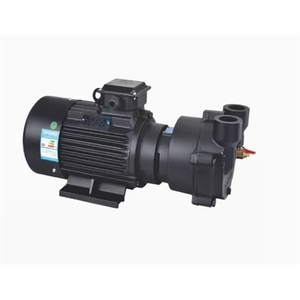 Bomba de Vacío MINAMOTO SBV-27-1.1kW 52-1.5 A-2.2 80-3 110-4 BV-160-4 230-5.5 280-7.5, Garantía de 3 Años, Hecho en China - Product Image 1