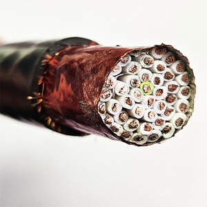 Rvvp 485 4 कोर <span class=keywords><strong>2</strong></span> 4 कोर <span class=keywords><strong>2</strong></span> 4 जोड़ी ब्रेडेड शील्ड तार 26wg 24/5/6 कोर सिग्नल शील्ड केबल - Product Image 3