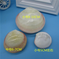 Coquillages naturels de la mer, lot de 10, carpes, double clame rose, lumineux, décoration paysager aquatique, joli cadeau pour les amoureux